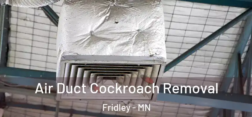  Air Duct Cockroach Removal Fridley - MN
