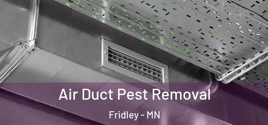  Air Duct Pest Removal Fridley - MN