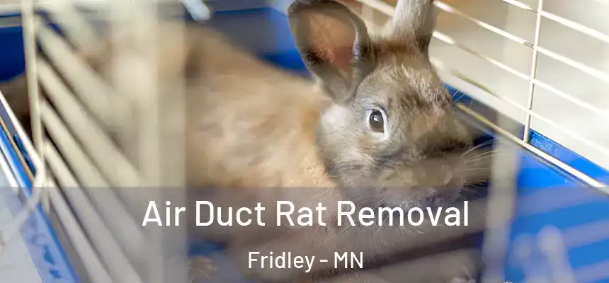  Air Duct Rat Removal Fridley - MN