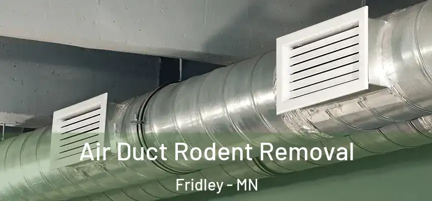  Air Duct Rodent Removal Fridley - MN