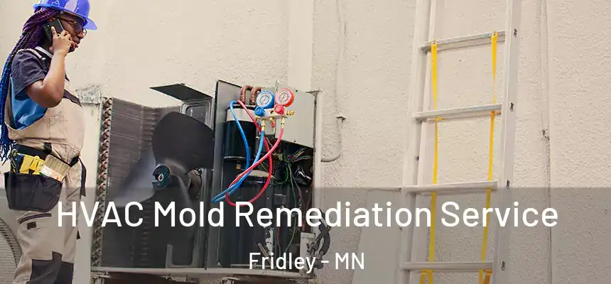 HVAC Mold Remediation Service Fridley - MN