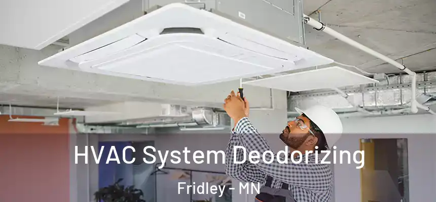  HVAC System Deodorizing Fridley - MN
