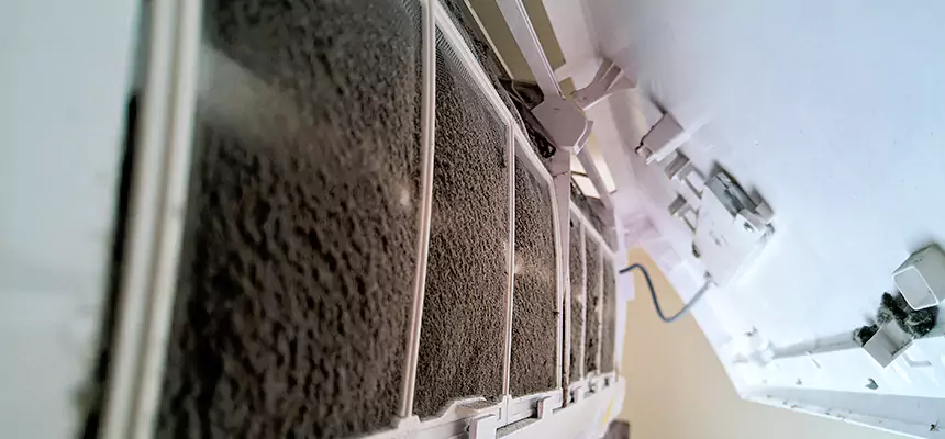 Preventive Air Duct Bacteria Removal in Fridley