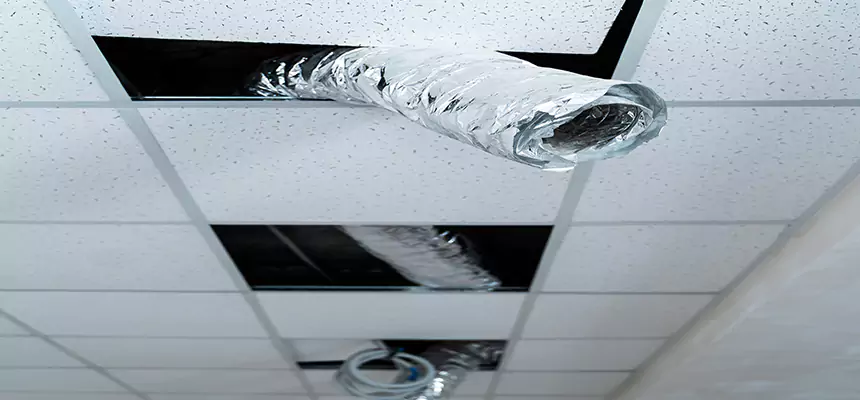 Our Air Duct Pet Hair Removal Services in Fridley, MN