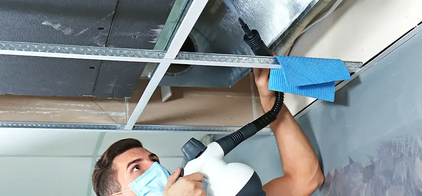 Our Air Duct Rodent Removal Services in Fridley, MN