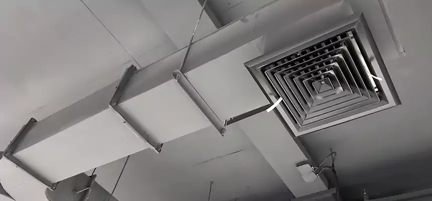 Restorative Allergy Relief Vent Cleaning – Coil, Blower & Housing Detail in Fridley