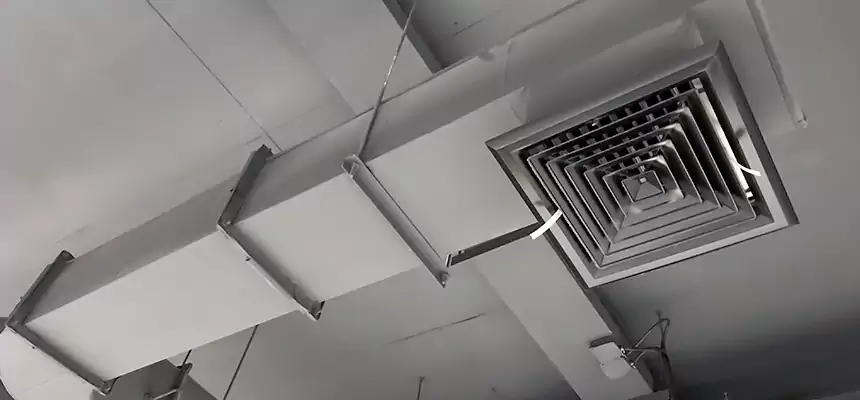 Our Pest Removal From Ducts Services in Fridley, MN