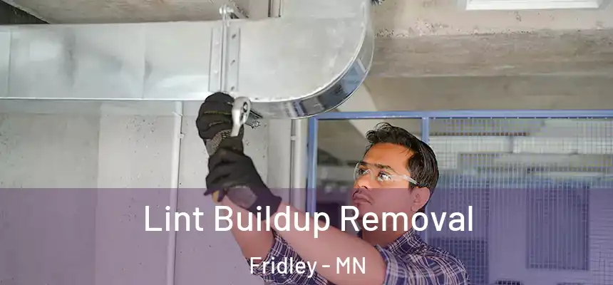  Lint Buildup Removal Fridley - MN