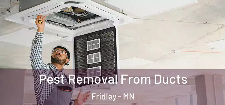  Pest Removal From Ducts Fridley - MN