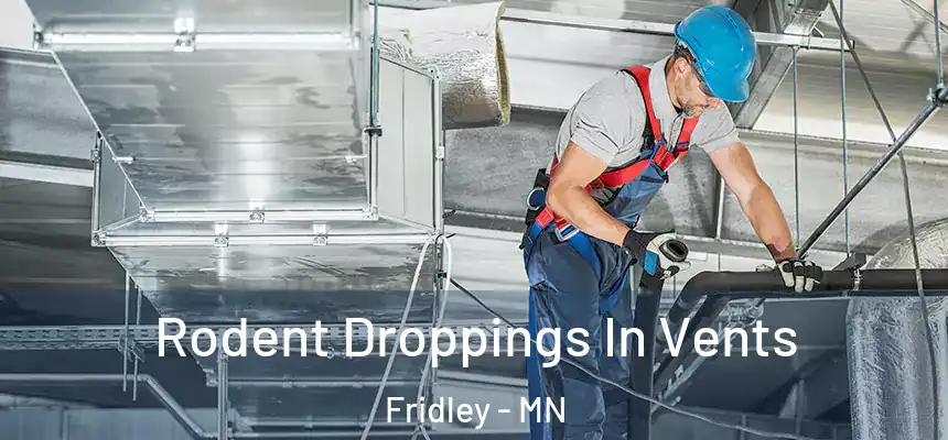  Rodent Droppings In Vents Fridley - MN