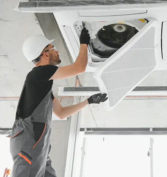 About Air Duct Rodent Removal in Fridley, MN