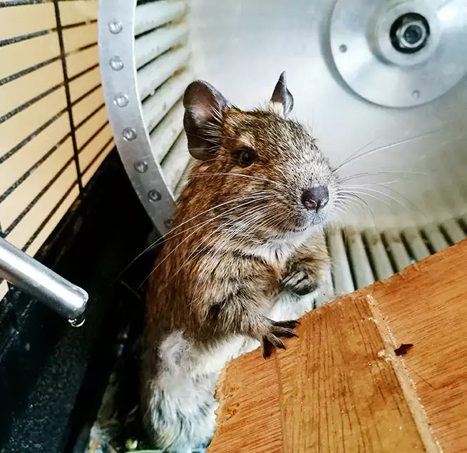 Why Homeowners & Businesses Trust Us Fridley, MN?